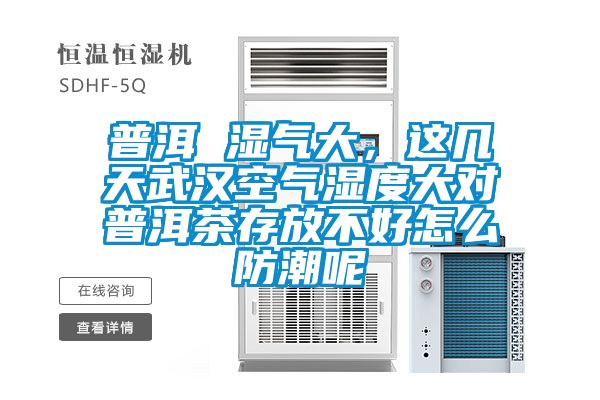 普洱 湿气大，这几天武汉空气湿度大对普洱茶存放不好怎么防潮呢