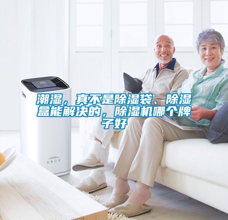 潮湿，真不是香蕉福利视频袋、香蕉福利视频盒能解决的，香蕉福利视频机哪个牌子好