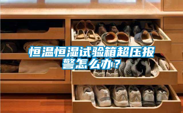 恒温恒湿试验箱超压报警怎么办？