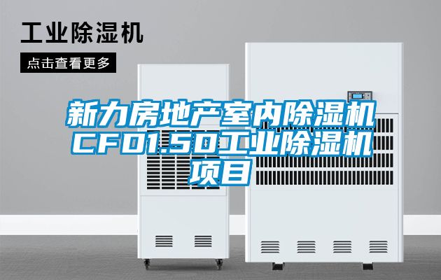 新力房地产室内香蕉福利视频机CFD1.5D工业香蕉福利视频机项目