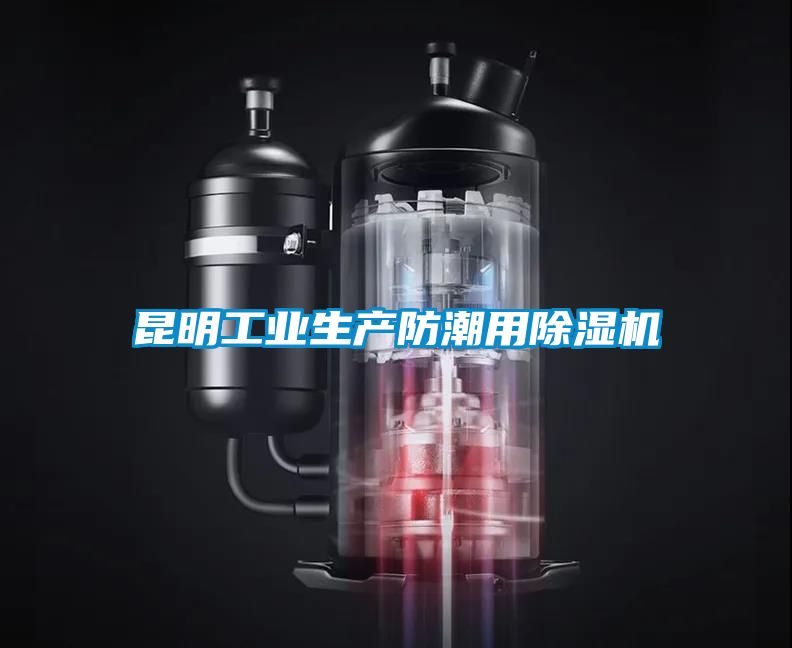 昆明工业生产防潮用香蕉福利视频机