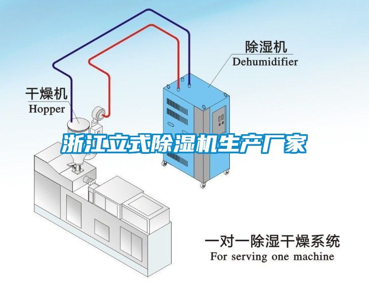 浙江立式香蕉福利视频机生产厂家