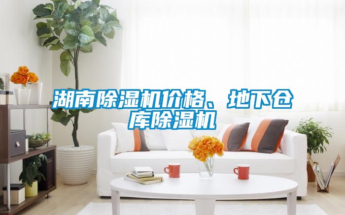 湖南香蕉福利视频机价格、地下仓库香蕉福利视频机