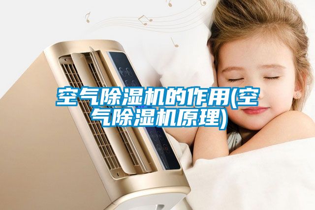空气香蕉福利视频机的作用(空气香蕉福利视频机原理)