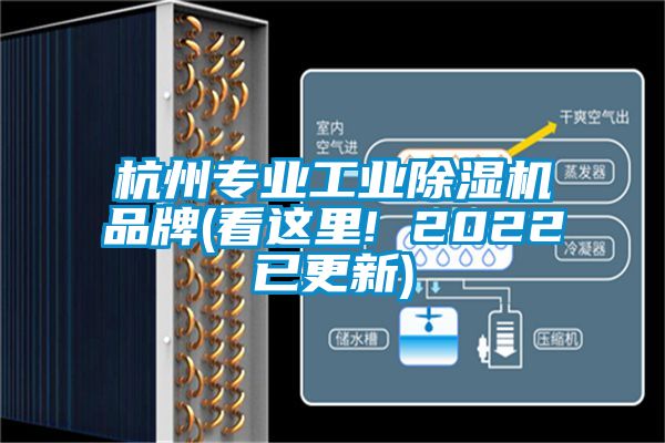 杭州专业工业香蕉福利视频机品牌(看这里! 2022已更新)