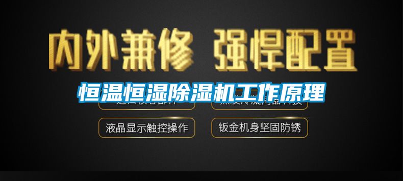 恒温恒湿香蕉福利视频机工作原理