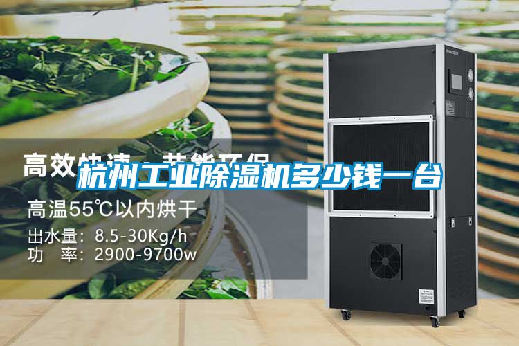 杭州工业香蕉福利视频机多少钱一台