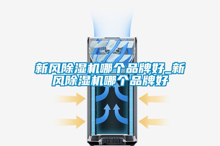 新风香蕉福利视频机哪个品牌好_新风香蕉福利视频机哪个品牌好