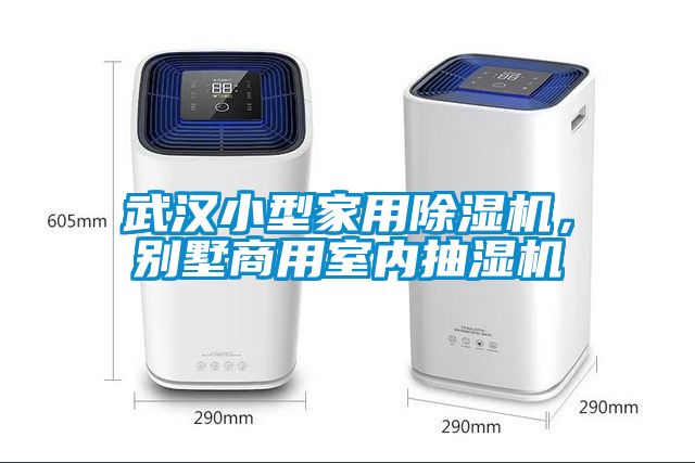 武汉小型家用香蕉福利视频机，别墅商用室内抽湿机