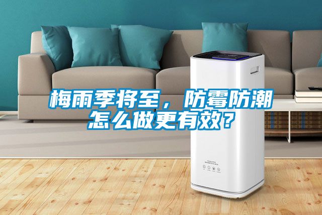 梅雨季将至，防霉防潮怎么做更有效？