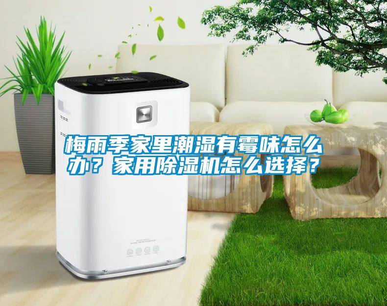 梅雨季家里潮湿有霉味怎么办？家用香蕉福利视频机怎么选择？