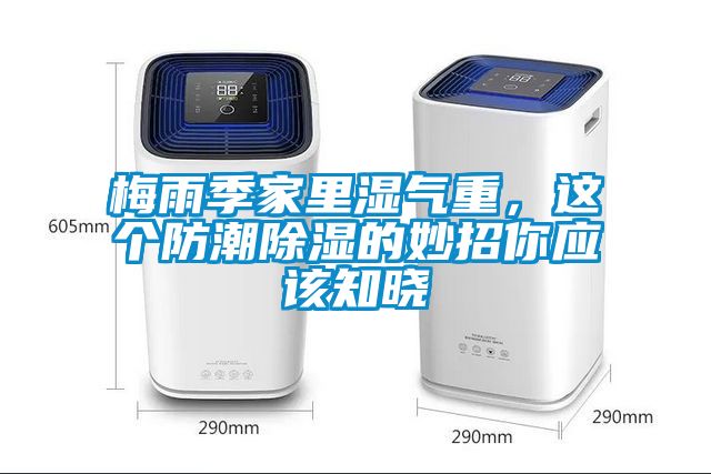梅雨季家里湿气重，这个防潮香蕉福利视频的妙招你应该知晓