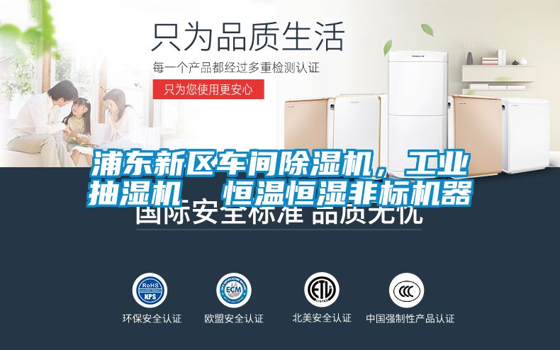 浦东新区车间香蕉福利视频机，工业抽湿机  恒温恒湿非标机器