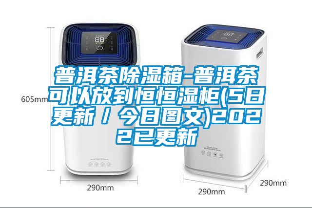 普洱茶香蕉福利视频箱-普洱茶可以放到恒恒湿柜(5日更新／今日图文)2022已更新