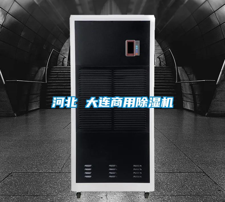 河北 大连商用香蕉福利视频机