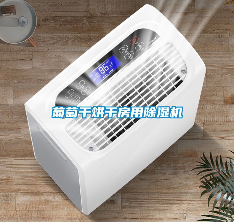 葡萄干烘干房用香蕉福利视频机