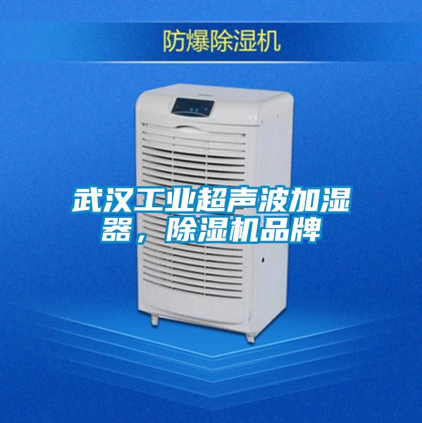 武汉工业超声波加湿器，香蕉福利视频机品牌
