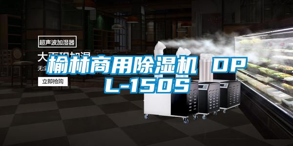 榆林商用香蕉福利视频机 DPL-150S