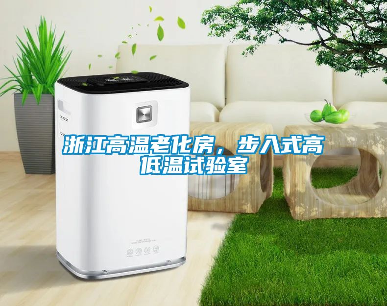 浙江高温老化房，步入式高低温试验室