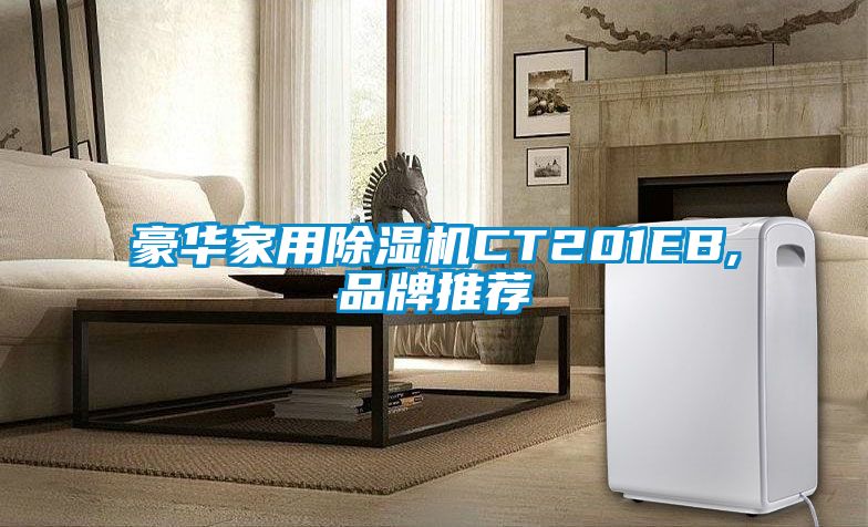 豪华家用香蕉福利视频机CT201EB,品牌推荐