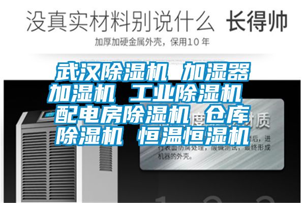 武汉香蕉福利视频机 加湿器加湿机 工业香蕉福利视频机 配电房香蕉福利视频机 仓库香蕉福利视频机 恒温恒湿机