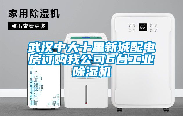武汉中大十里新城配电房订购我公司6台工业香蕉福利视频机