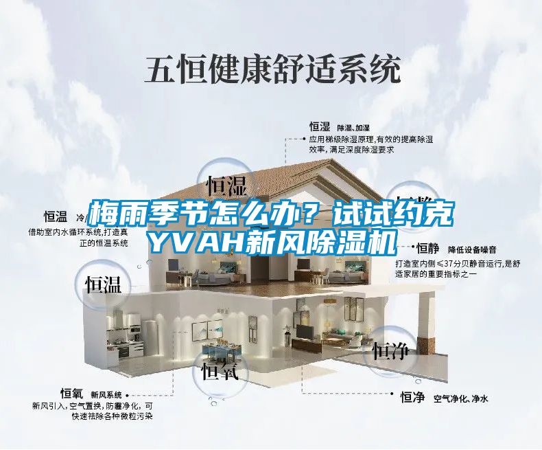 梅雨季节怎么办？试试约克YVAH新风香蕉福利视频机