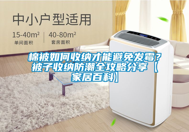 棉被如何收纳才能避免发霉？被子收纳防潮全攻略分享【家居百科】