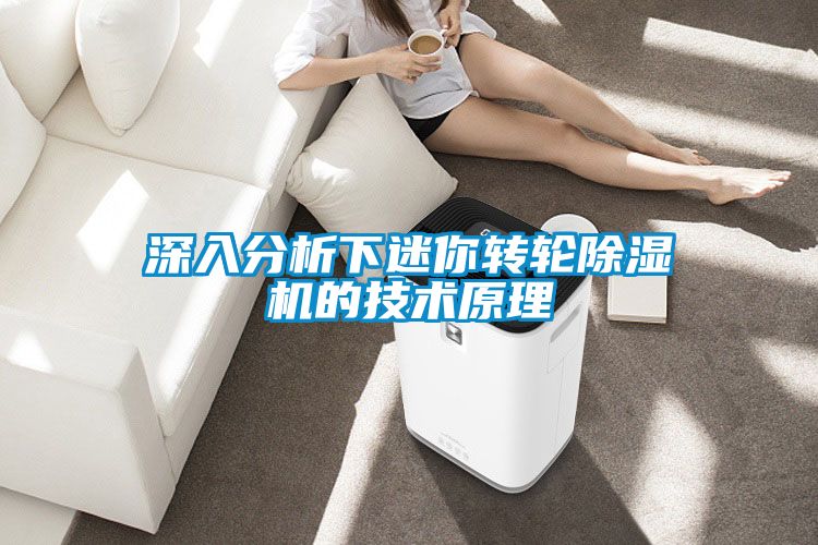 深入分析下迷你转轮香蕉福利视频机的技术原理