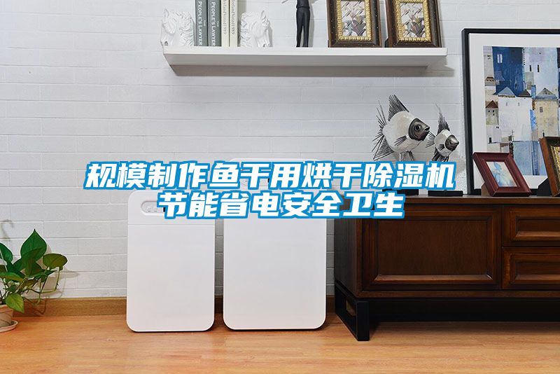 规模制作鱼干用烘干香蕉福利视频机 节能省电安全卫生