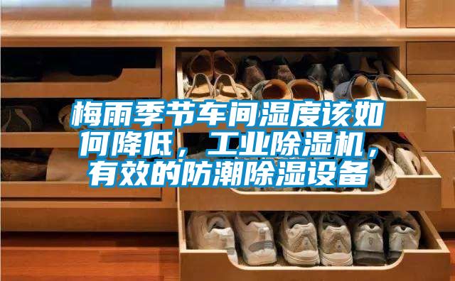 梅雨季节车间湿度该如何降低，工业香蕉福利视频机，有效的防潮香蕉福利视频设备
