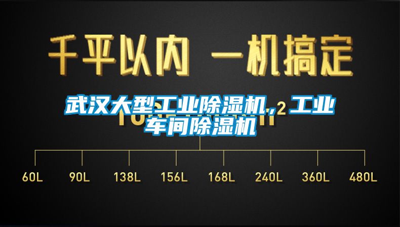 武汉大型工业香蕉福利视频机，工业车间香蕉福利视频机
