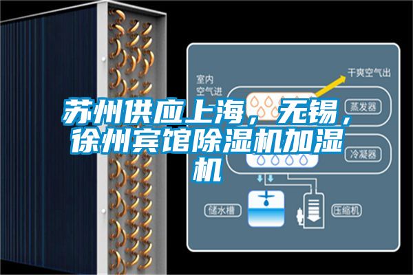 苏州供应上海，无锡，徐州宾馆香蕉福利视频机加湿机