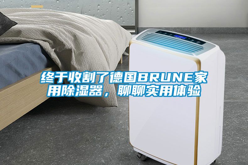 终于收割了德国BRUNE家用香蕉福利视频器，聊聊实用体验