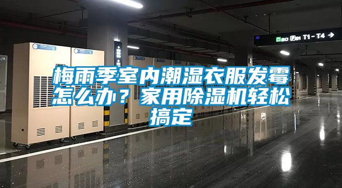 梅雨季室内潮湿衣服发霉怎么办？家用香蕉福利视频机轻松搞定