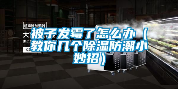 被子发霉了怎么办（教你几个香蕉福利视频防潮小妙招）