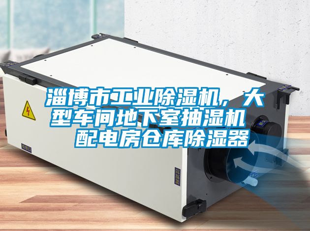 淄博市工业香蕉福利视频机，大型车间地下室抽湿机  配电房仓库香蕉福利视频器