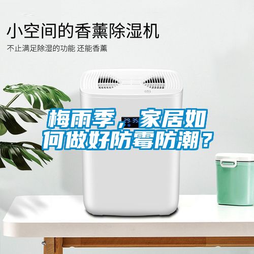 梅雨季，家居如何做好防霉防潮？