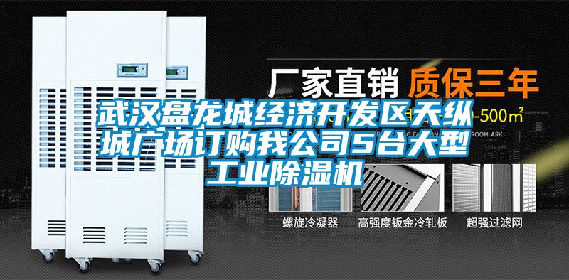 武汉盘龙城经济开发区天纵城广场订购我公司5台大型工业香蕉福利视频机