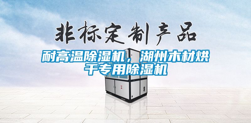 耐高温香蕉福利视频机，湖州木材烘干专用香蕉福利视频机