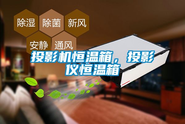 投影机恒温箱，投影仪恒温箱