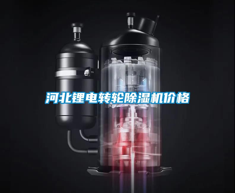 河北锂电转轮香蕉福利视频机价格