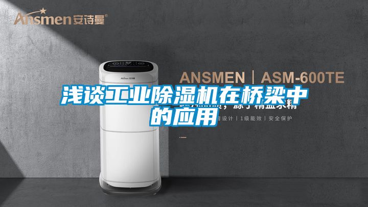 浅谈工业香蕉福利视频机在桥梁中的应用