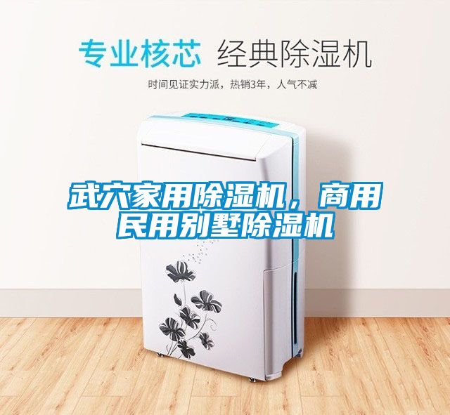 武穴家用香蕉福利视频机，商用民用别墅香蕉福利视频机