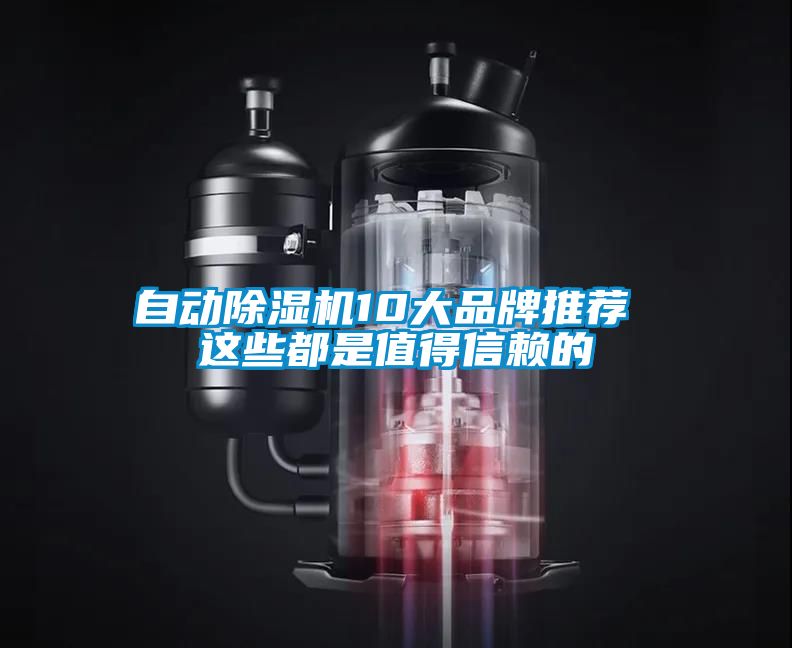 自动香蕉福利视频机10大品牌推荐 这些都是值得信赖的