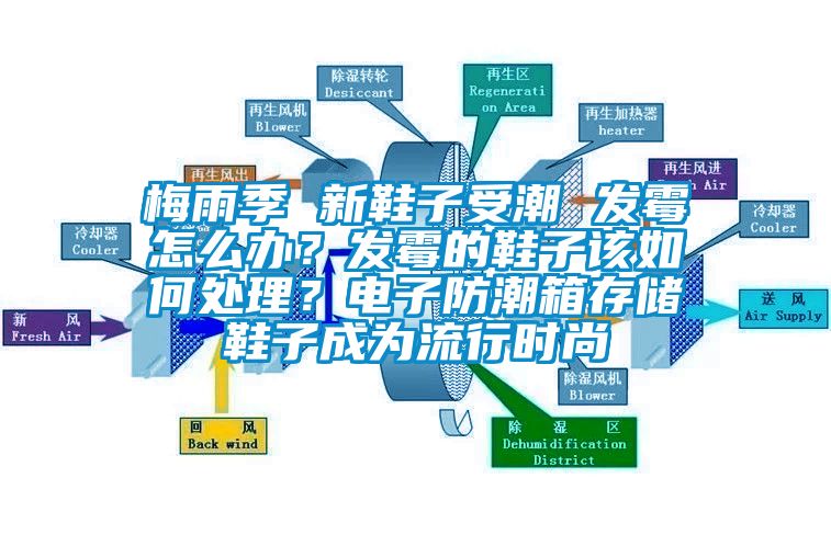 梅雨季 新鞋子受潮 发霉怎么办？发霉的鞋子该如何处理？电子防潮箱存储鞋子成为流行时尚