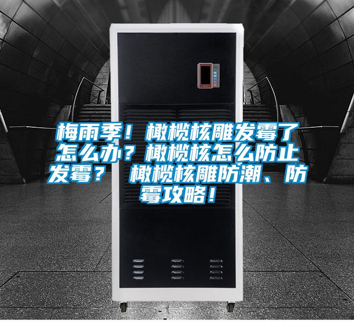 梅雨季！橄榄核雕发霉了怎么办？橄榄核怎么防止发霉？ 橄榄核雕防潮、防霉攻略！