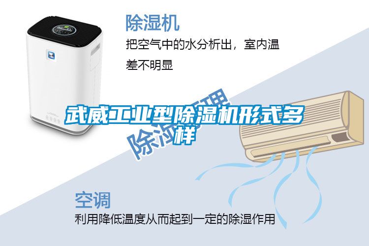 武威工业型香蕉福利视频机形式多样