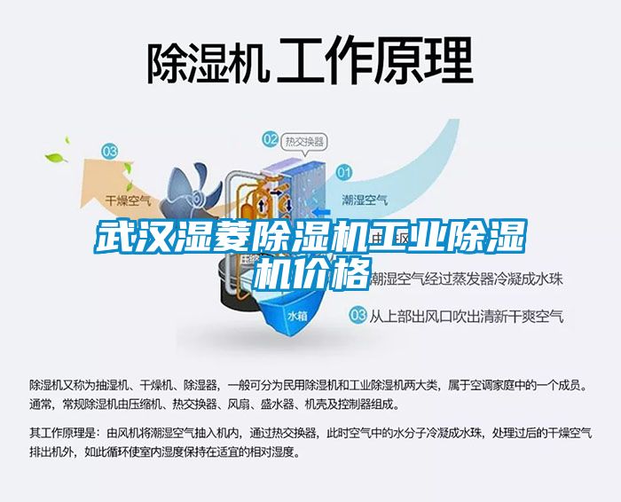 武汉湿菱香蕉福利视频机工业香蕉福利视频机价格