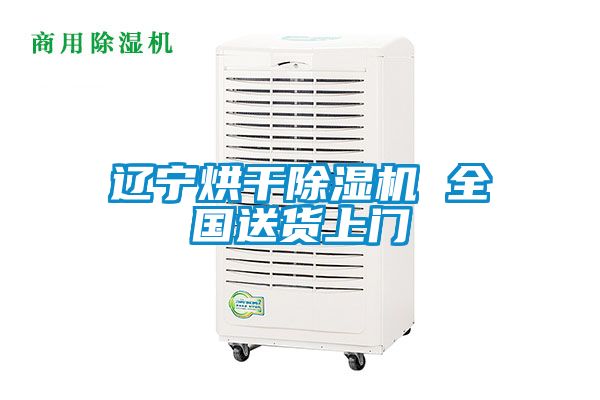 辽宁烘干香蕉福利视频机 全国送货上门